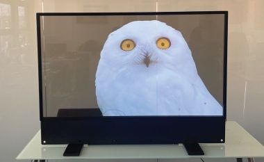 Display transparente OLED ultra delgado para publicidad en interiores