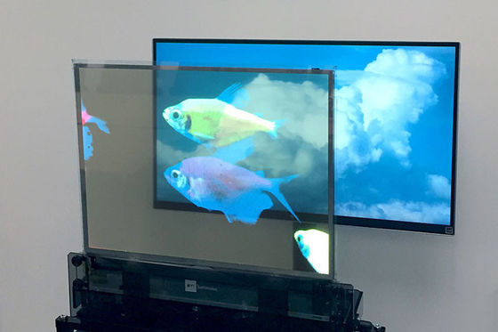 Display transparente OLED de alto brillo, pantalla OLED clara a todo color con múltiples propósitos